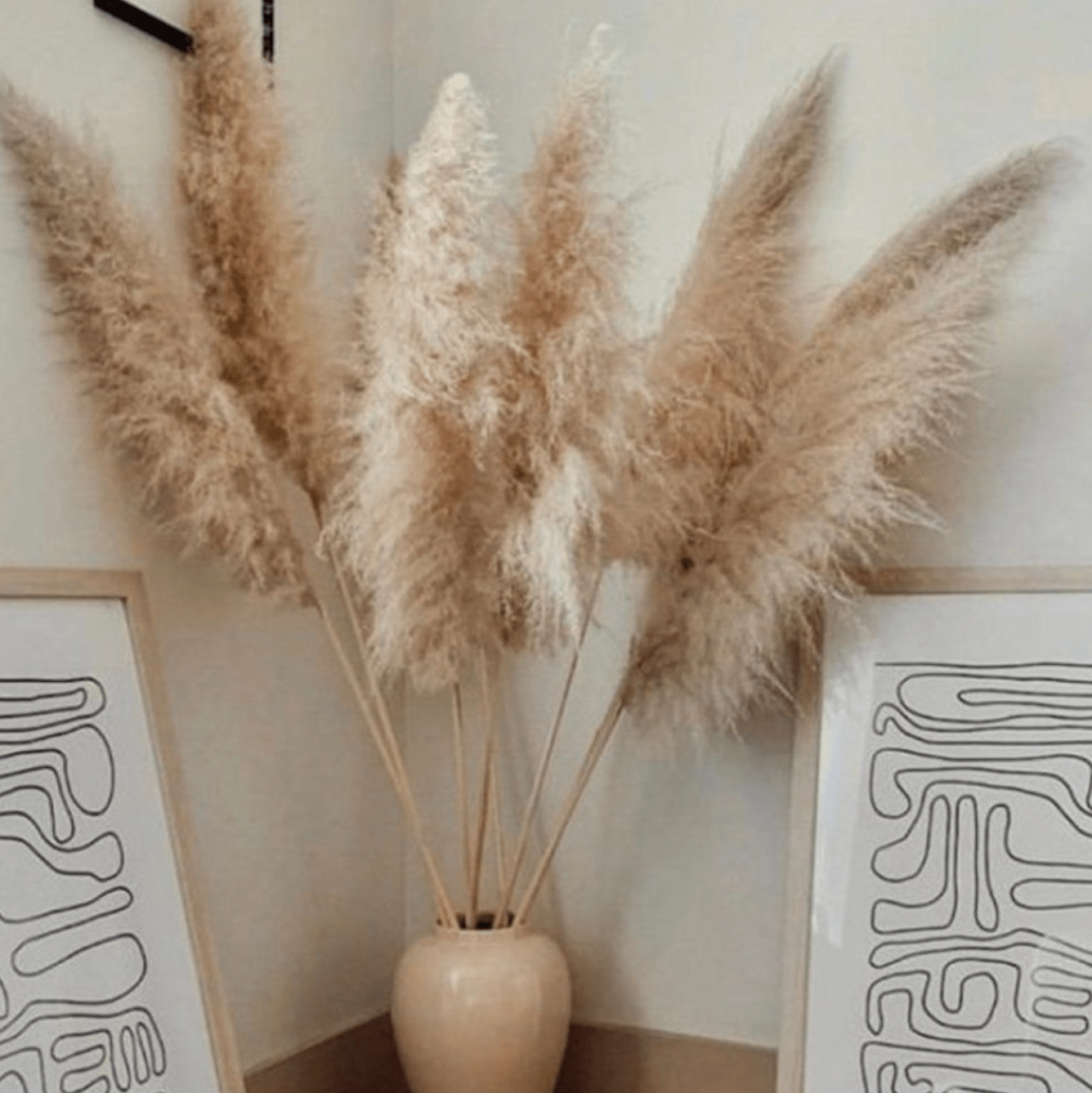 10 Extra Large Pampas Grass 47 Inch - Elegant Dried Flowers for Boho Home Decor, Wedding Arches & Bridal Showers