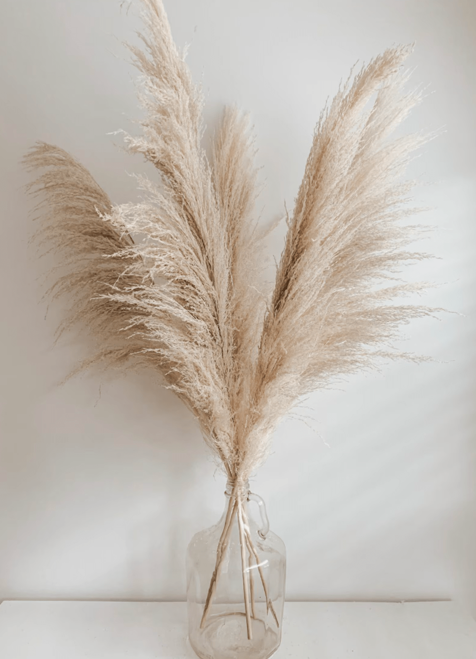 10 Extra Large Pampas Grass 47 Inch - Elegant Dried Flowers for Boho Home Decor, Wedding Arches & Bridal Showers