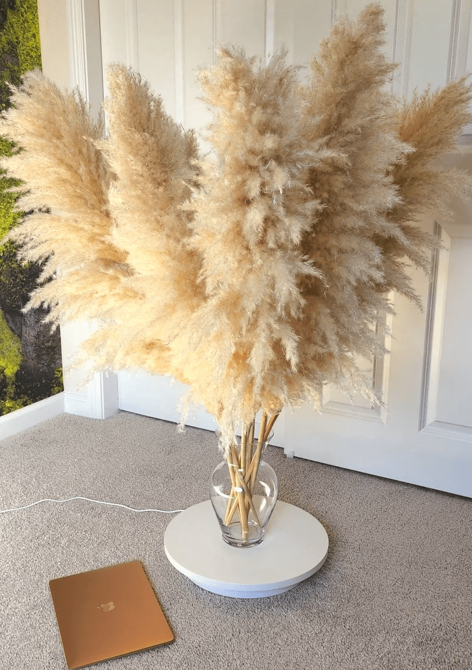 10 Premium Fluffy & Tall Pampas Grass 40" Inch - Boho Home & Wedding Decor Essentials - Natural Beige Stems