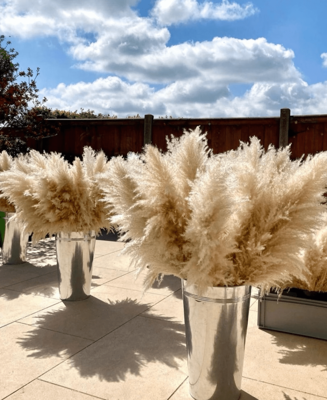 10 Premium Fluffy & Tall Pampas Grass 40" Inch - Boho Home & Wedding Decor Essentials - Natural Beige Stems