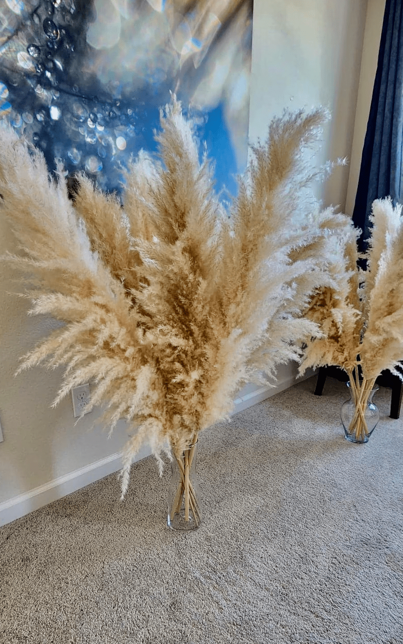 10 Premium Fluffy & Tall Pampas Grass 40" Inch - Boho Home & Wedding Decor Essentials - Natural Beige Stems