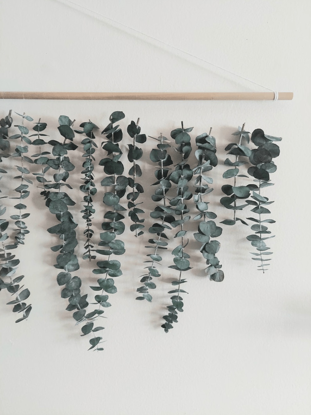 Boho Eucalyptus Wall Hanging Decor - Rustic Greenery for Home - Handmade and Realistic Design