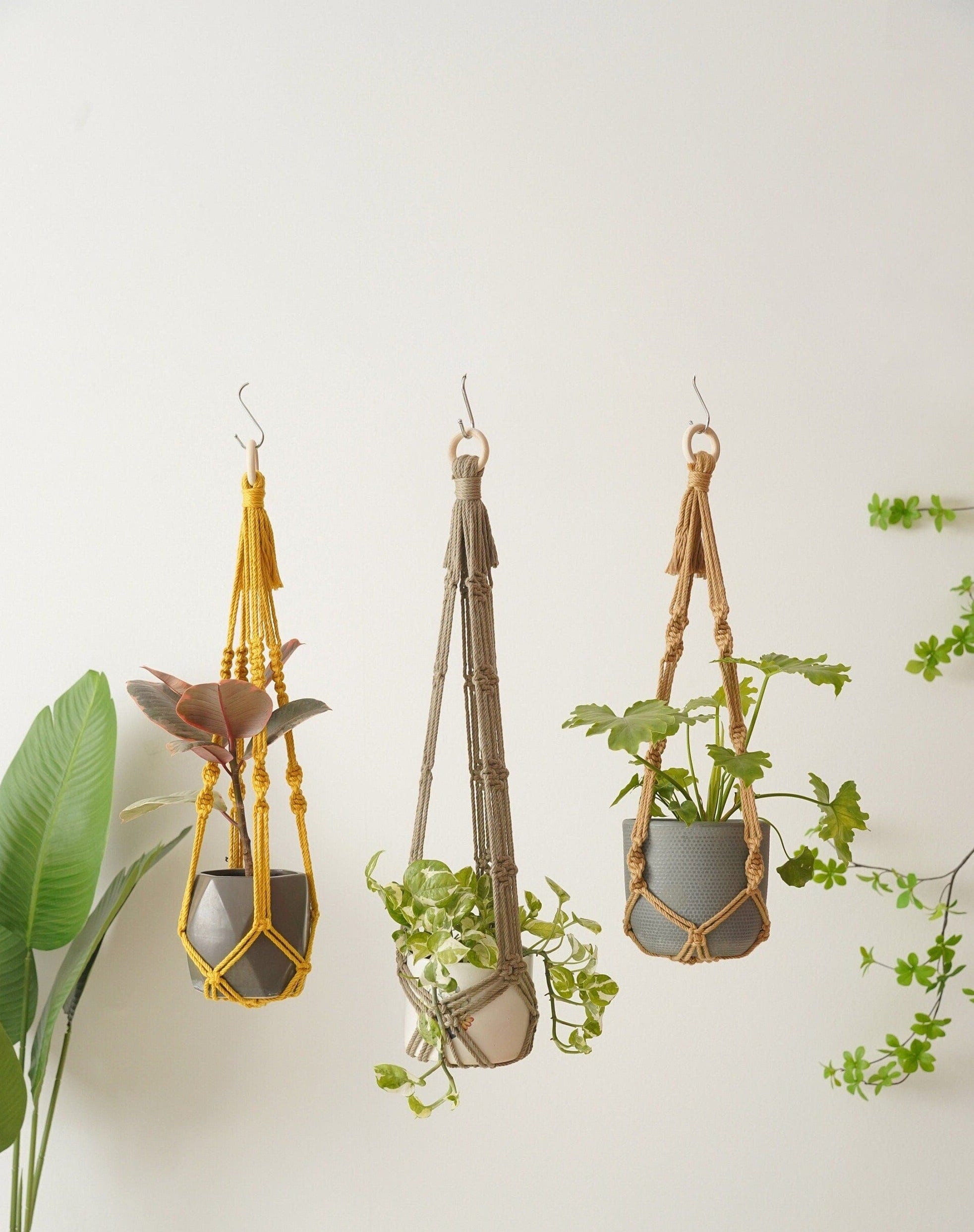 Eco-Friendly No Tassel Macrame Plant Hangers | Handwoven Hanging Planter | Boho Plant Pot Holder Yellow