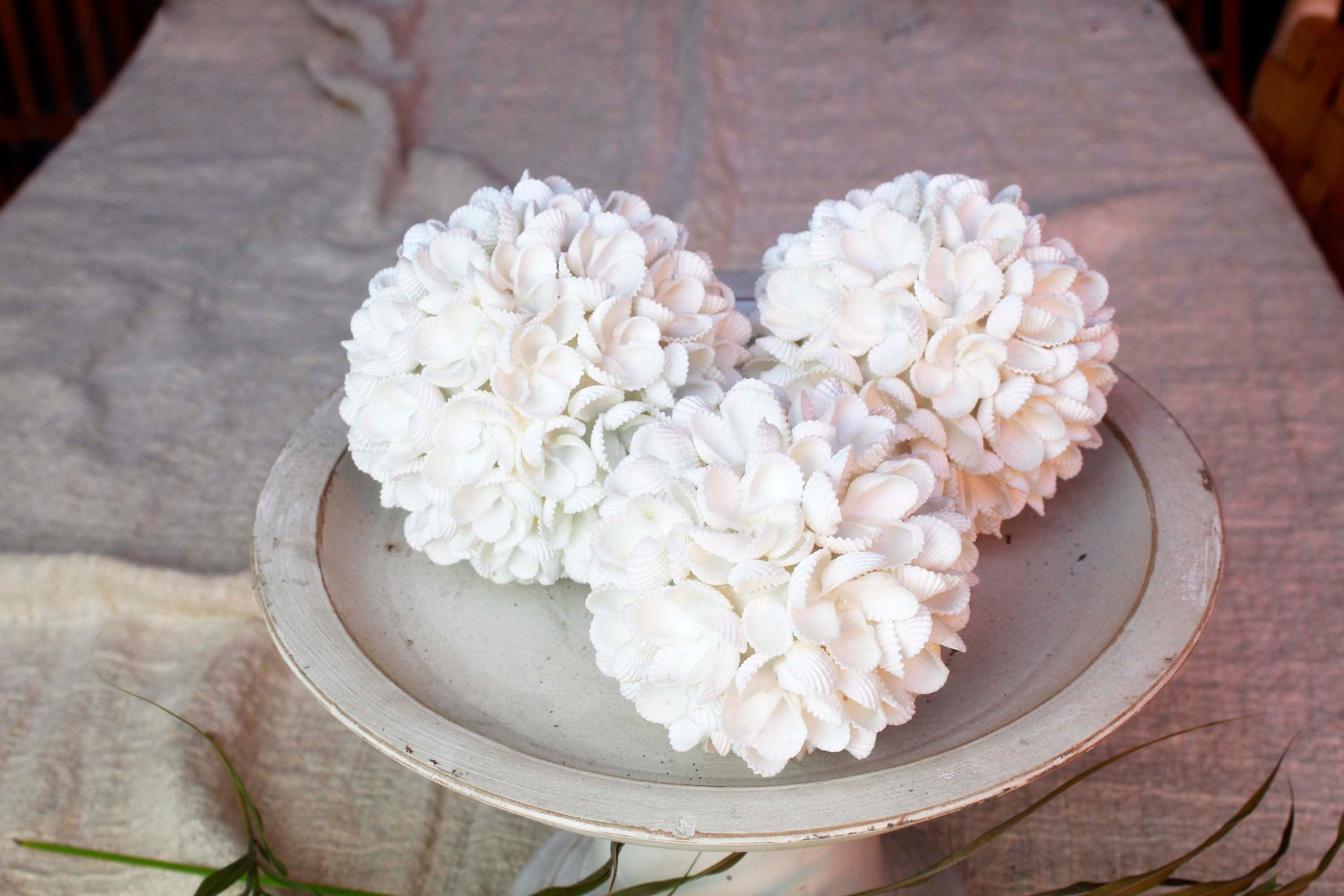 Exquisite Sea Shell Ornament Set – Coastal Farmhouse Decor for Bookshelves and Desks