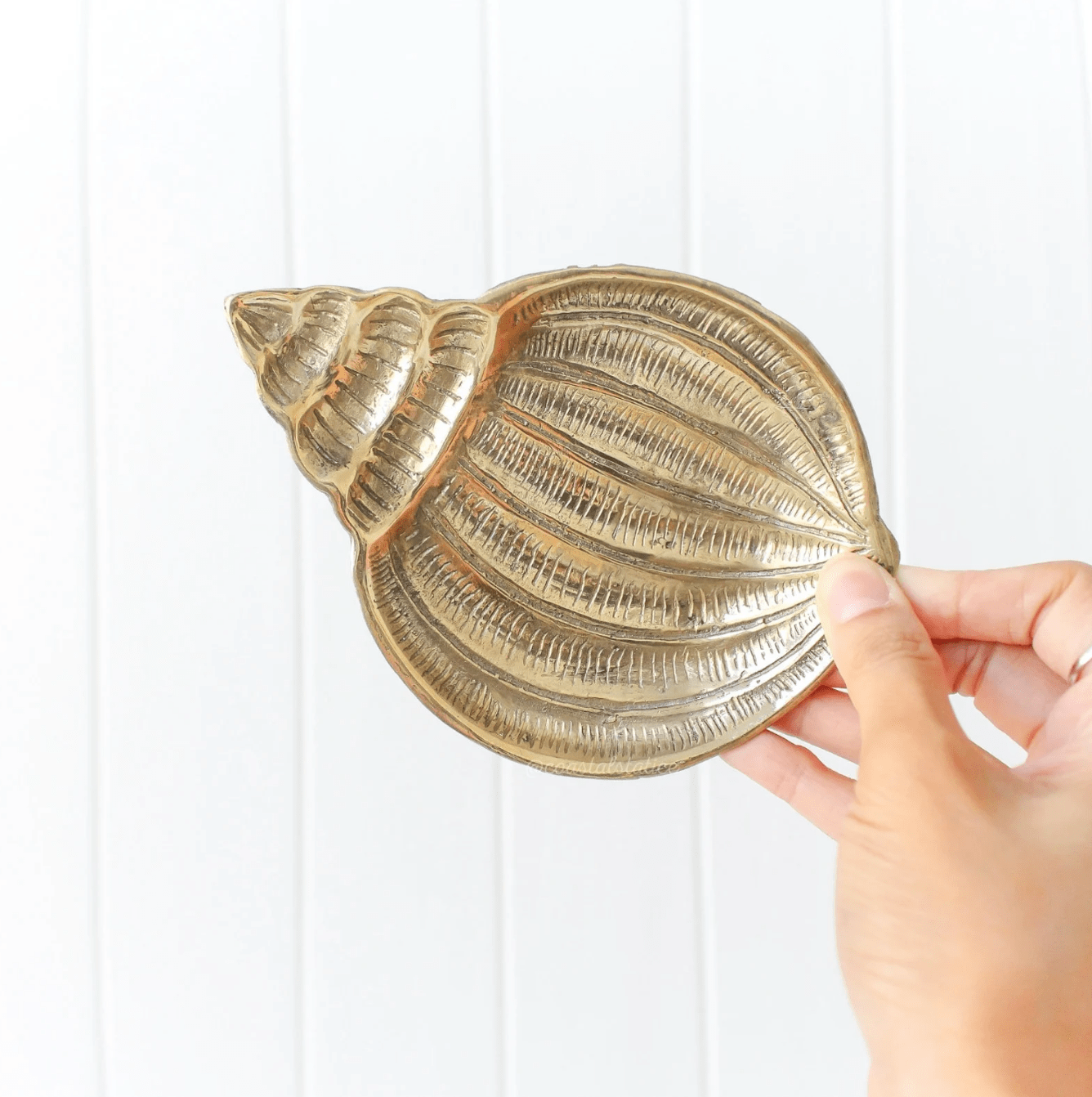 Gold Brass Snail Shell Trinket Tray – Elegant Jewelry Organizer