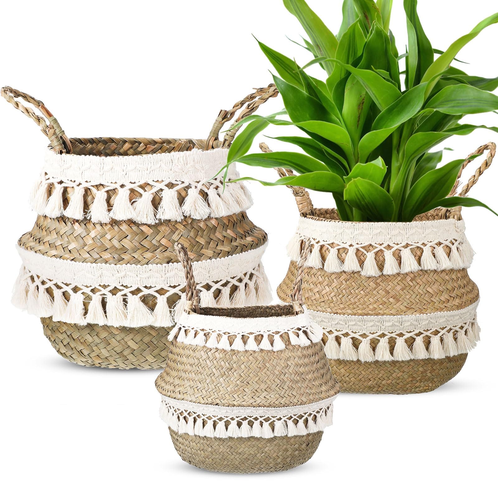 Set of 3 Boho Seagrass Belly Baskets – Natural Storage and Plant Baskets with Handles and Tassels