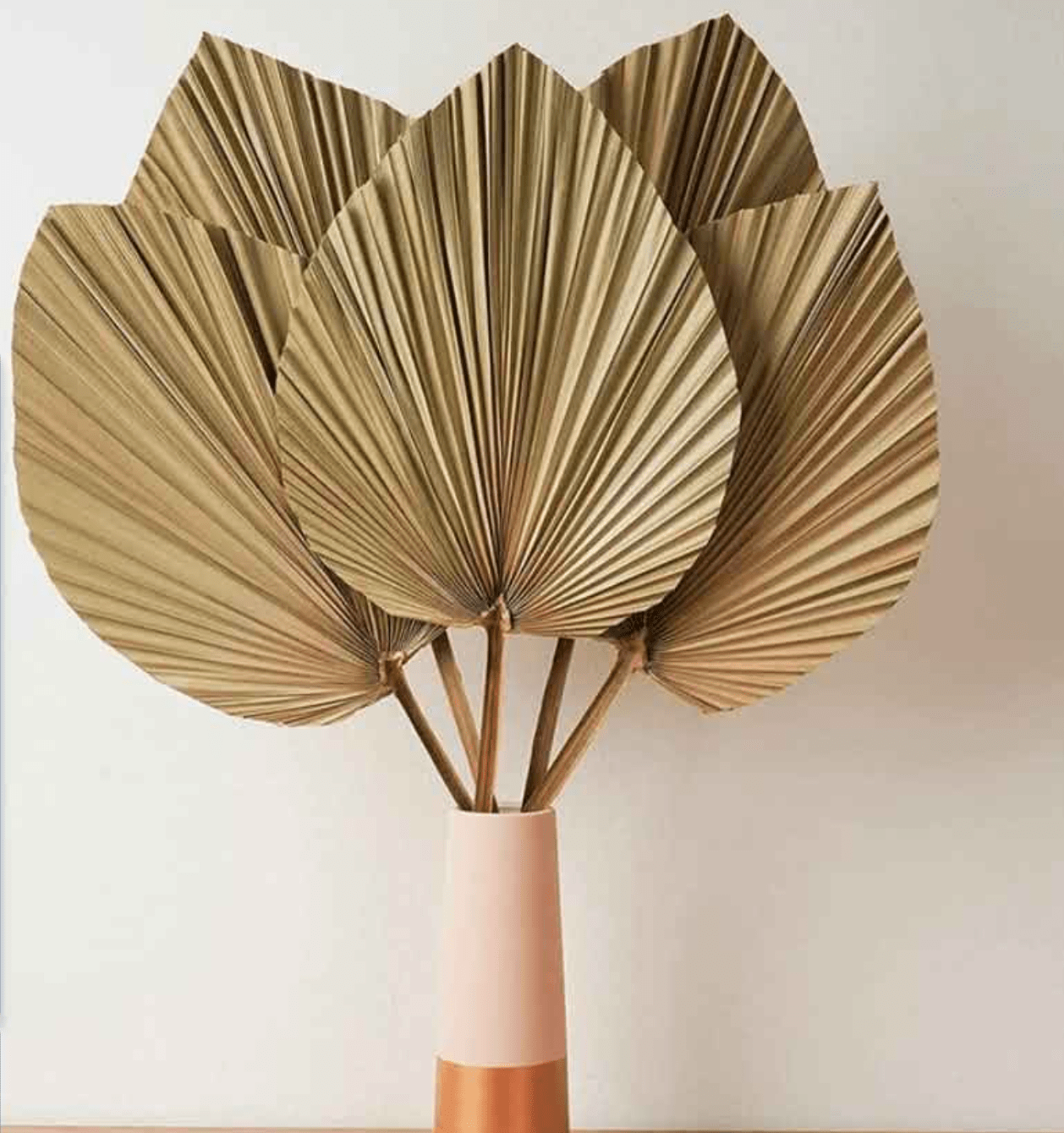 Set of 5 Large Organic Dried Palm Leaves - Dried Green Color - Boho Home Decor Wedding Decor DIY - Long-Lasting Beauty