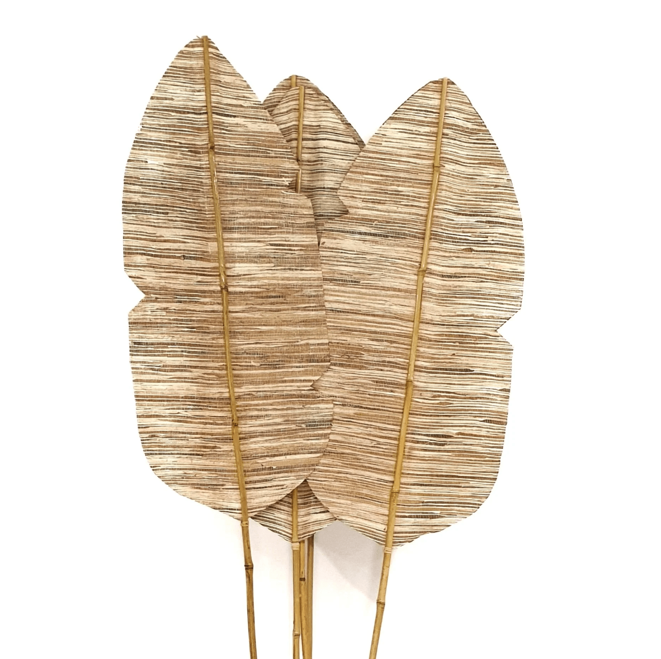 Tropical Palm Leaf and Decorative Fan Vase Fillers Sculpture - Set of 4