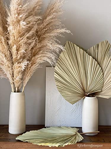 Set of 5 Large Organic Dried Palm Leaves - Dried Green Color - Boho Home Decor Wedding Decor DIY - Long-Lasting Beauty