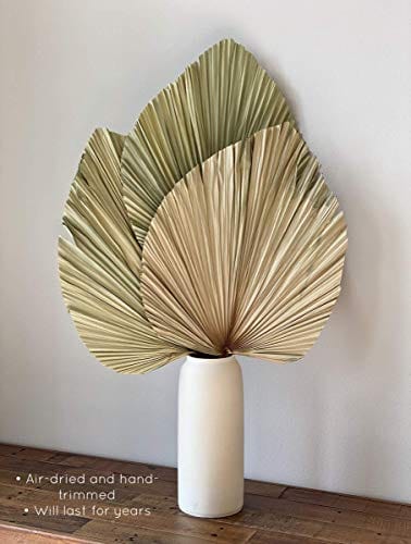 Set of 5 Large Organic Dried Palm Leaves - Dried Green Color - Boho Home Decor Wedding Decor DIY - Long-Lasting Beauty