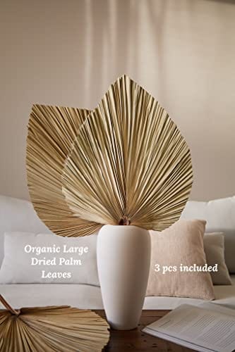 Set of 5 Large Organic Dried Palm Leaves - Dried Green Color - Boho Home Decor Wedding Decor DIY - Long-Lasting Beauty