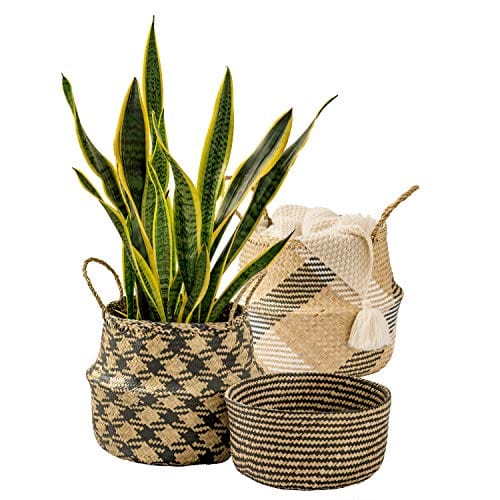 Woven Seagrass Plant Basket Set of 3 - Boho Wicker Belly Storage Baskets with Handles for Home Decor, Natural Nesting Storage Bins for Living Room, Bedroom, Bathroom or Laundry Room