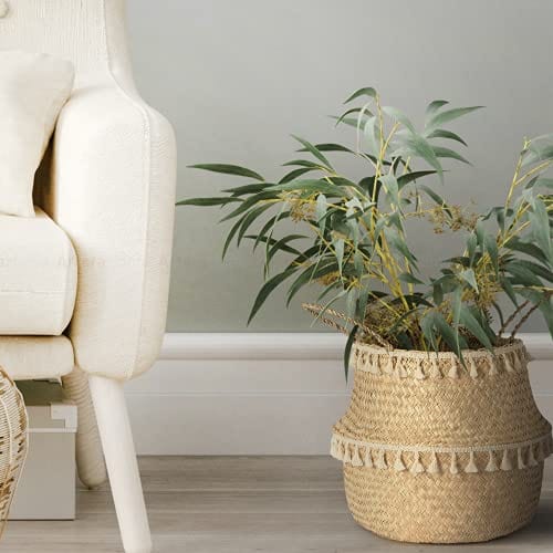 Woven Seagrass Plant Basket with Tassel Macrame - Natural Finish - Indoor Planter Pot with Plastic Liner and Handles - Eco-Friendly Storage