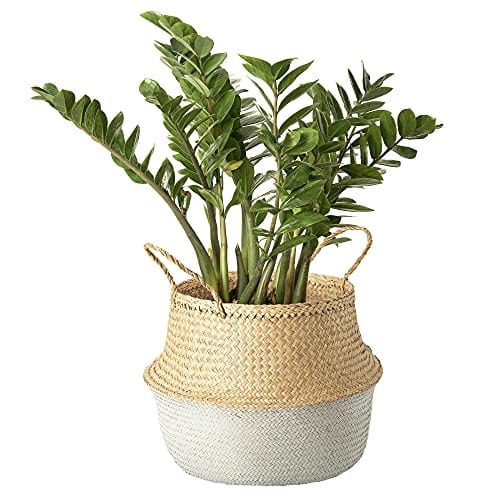 Woven Seagrass Plant Basket XXL - Natural and White - Indoor Planter Pot with Plastic Liner and Handles - Eco-Friendly Storage